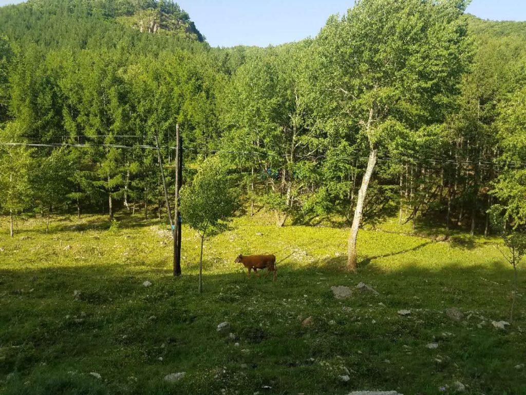 端午节探路美林谷